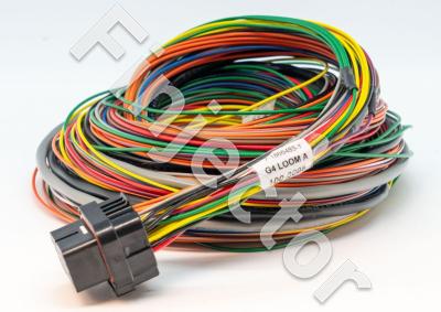 Link ECU - A Loom (2.5m) - WireIn ECUs (Link ECU 101-0005)