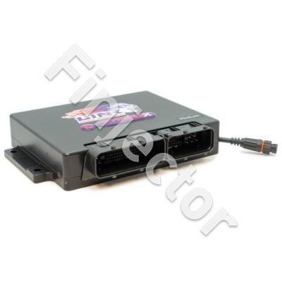 Link ECU - MiniLink - MINIX - BMW Mini Cooper S R50-R53 Tritec 1.6 SC, G4X PlugIn ECU (Link ECU 209-4000)