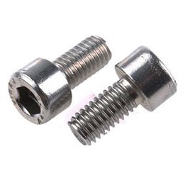 M6 x 10 mm bolt for NUKE FPR lids (NUKE 300-10-114)