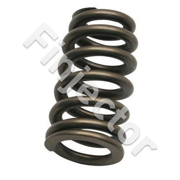 Fuel Pressure Regulator spring (NUKE 300-10-108)