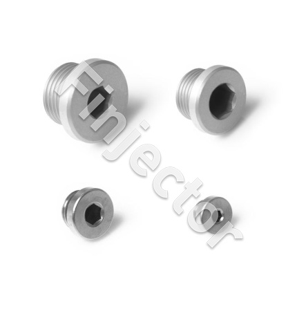 1/4 BSPP Plug, 1/4 BSPP (NUKE 700-01-106)