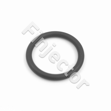 NISSAN MICRA SIDE FEED INJECTOR - TOP O-RING (ASNU-112A)