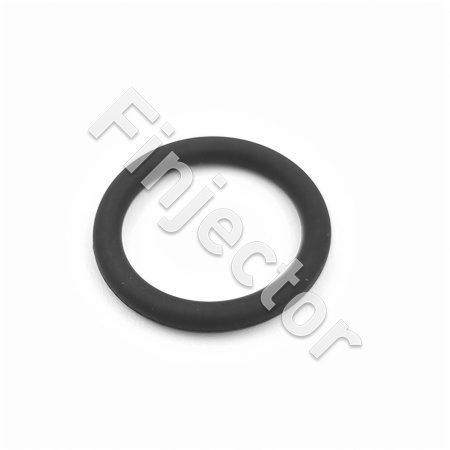 NISSAN MICRA SIDE FEED INJECTOR - BOTTON O-RING (ASNU-112B)