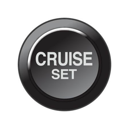 Link ECU - CAN Keypad Insert - Cruise Set (Link 101-0260)
