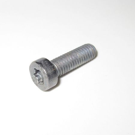 TORX SH CAP SCREW